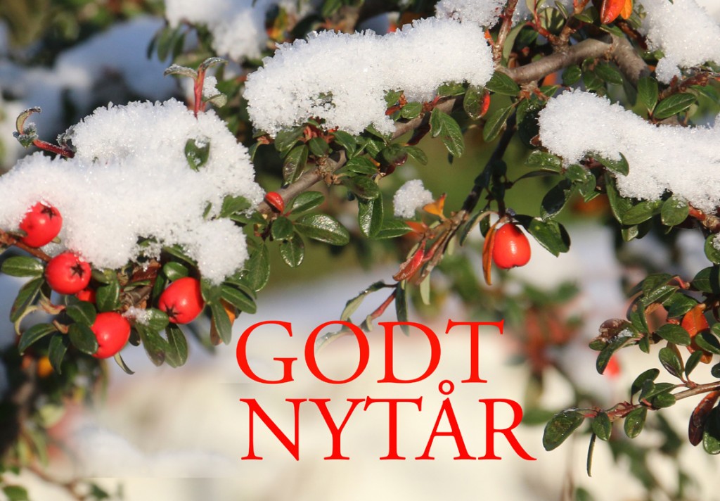 godt-nytaar