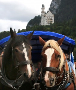 Neuschwanstein